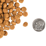 Fromm C Goud Gesonde gewig volwasse 4lb