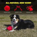 Playology Dog Toy Sensory Ball for Puppies - Beef Scent