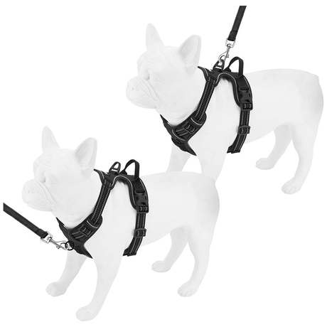 Voyager Dual-Attachment Adjustable Harness - Black