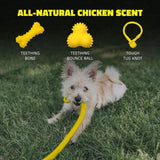 Playology Dog Toy Tough Tug Knot for Puppies - Chicken Scent