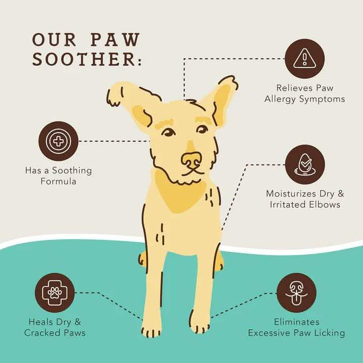 Natural Dog Company Paw Soother Balm