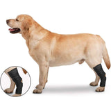 ZenPet Orthowraps Hock Wrap