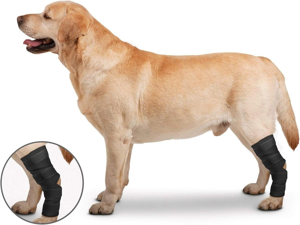 ZenPet Orthowraps Hock Wrap