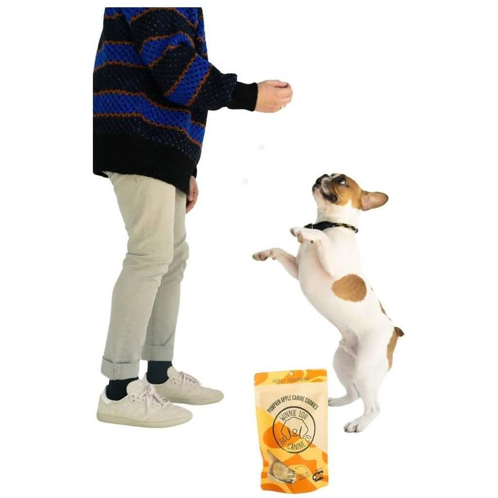 Winnie Lou Dog Treat Pumpkin Apple Canine Cookies