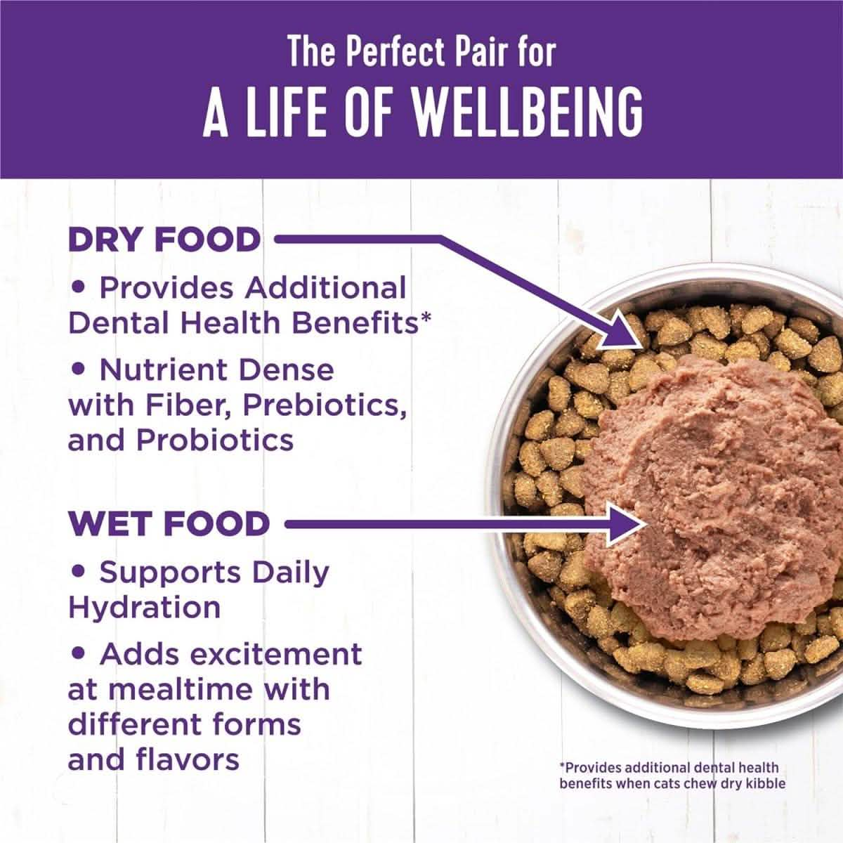 Wellness Wet Cat Food Complete Health Paté Beef & Salmon Entrée