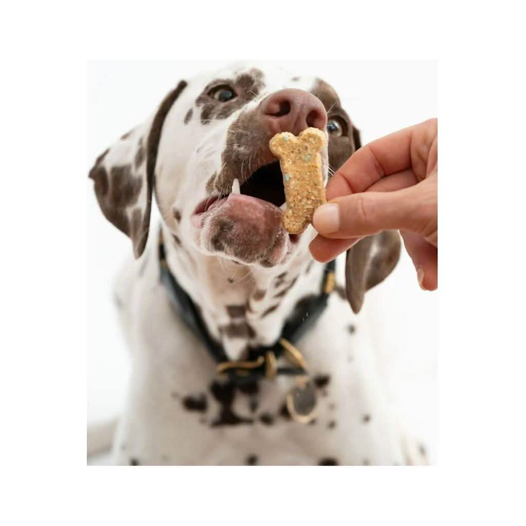 Winnie Lou Dog Treat Celebration Cookies