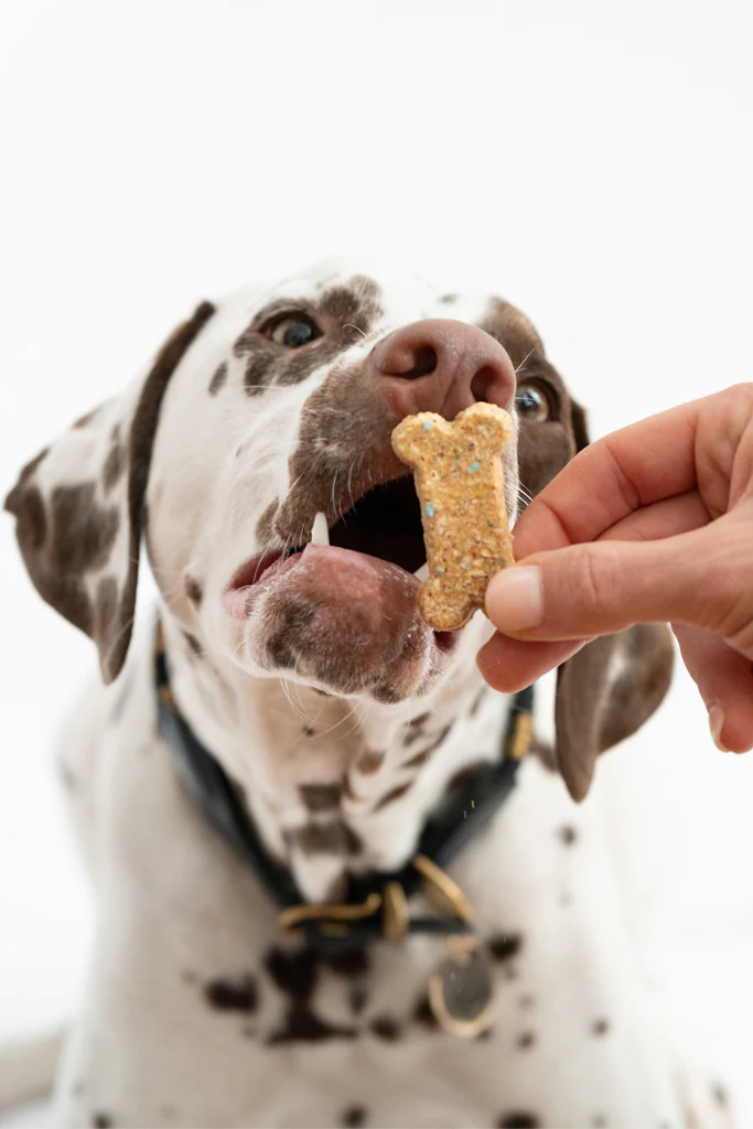 Winnie Lou Dog Treat Celebration Cookies