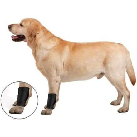 ZenPet Orthowraps Ligament Wrap