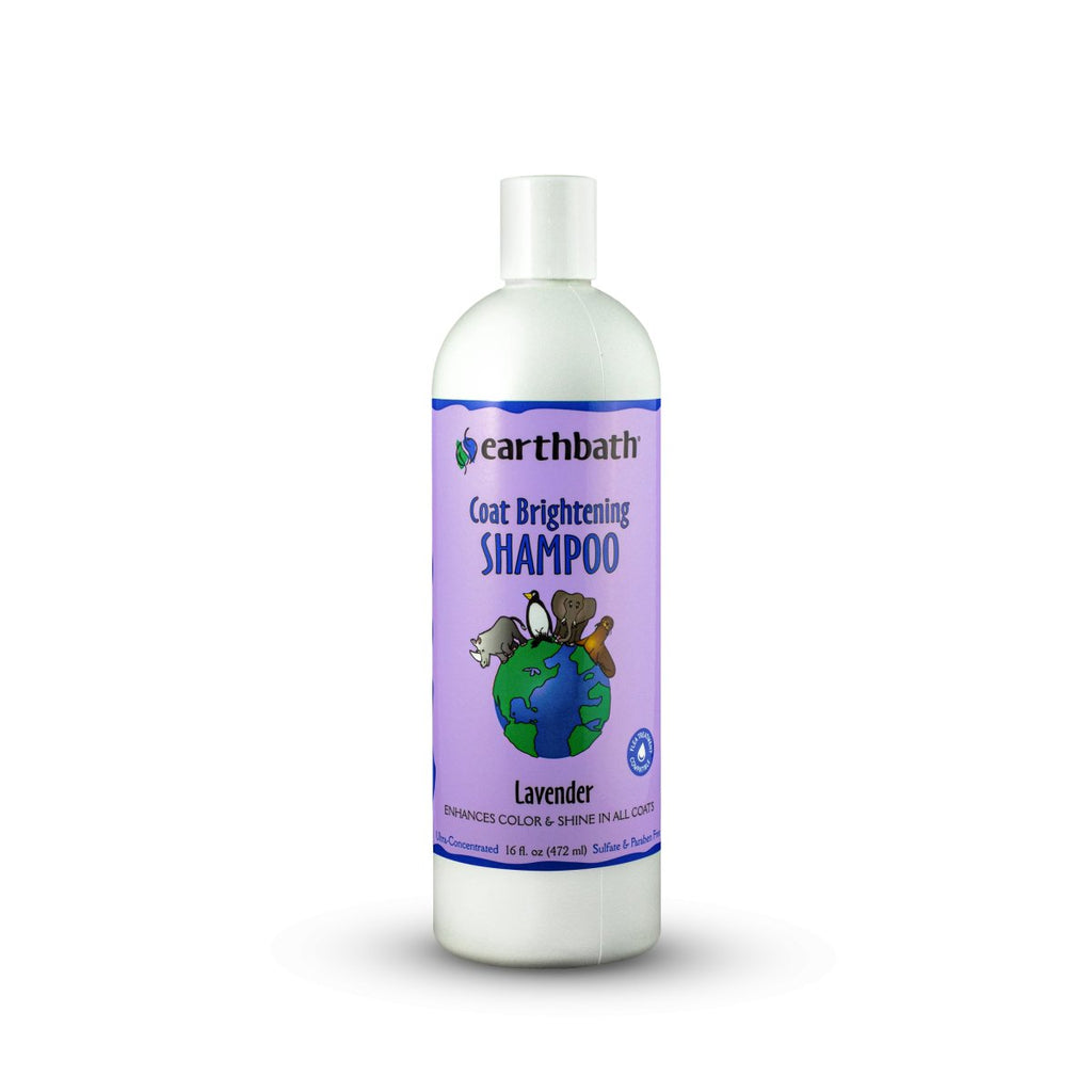 earthbath Coat Brightening Shampoo Lavender