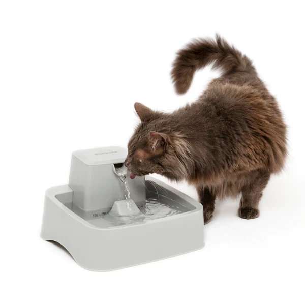 PetSafe Drinkwell Automatic Pet Water Fountain