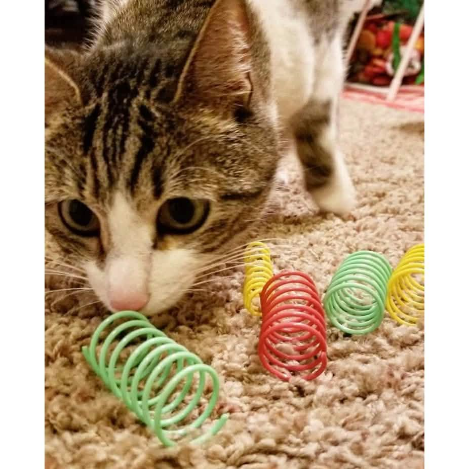 SPOT Cat Toy Colorful Springs (10 Pack)