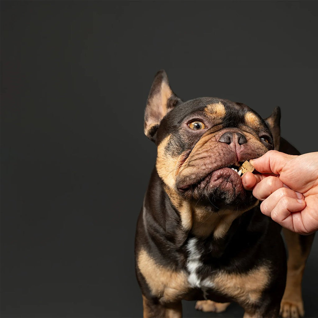 Get Joy Dog Treat Freeze-Dried Support Beef Liver