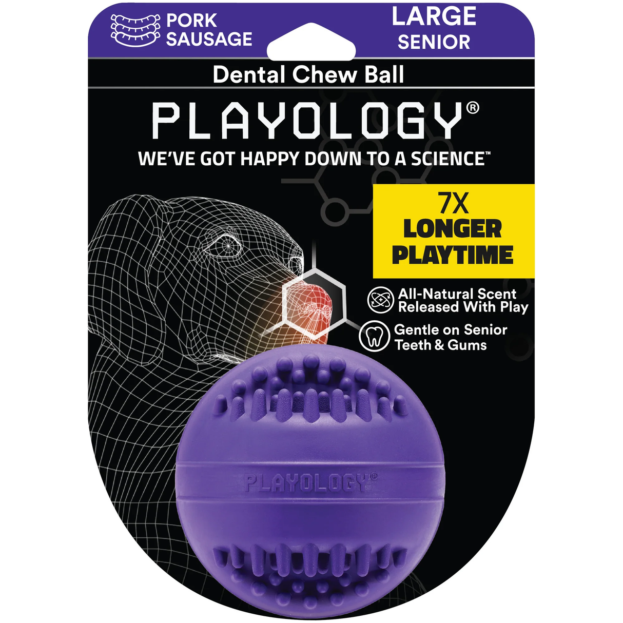 Playology Dog Toy Dental Chew Ball for Seniors - Pork Sausage Scent