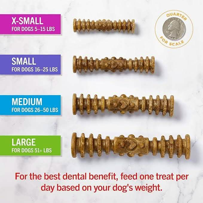 Stella & Chewy's Dog Treat Dental Delights Chicken & Parsley Flavor Large 17 count