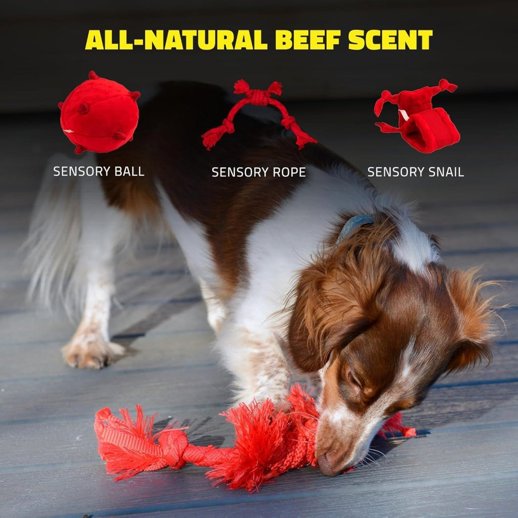 Playology Dog Toy Sensory Rope for Puppies - Beef Scent