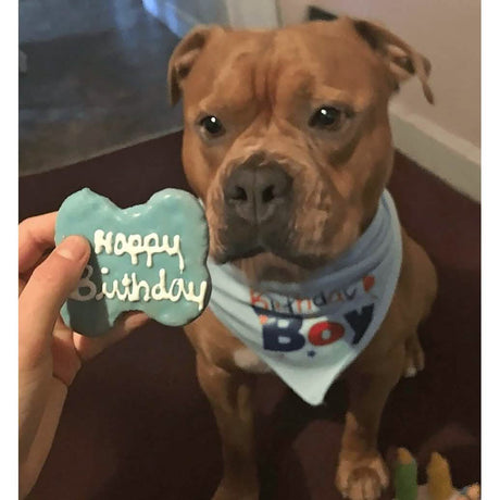 Huesos de feliz cumpleaños para perros de Claudia's Canine Bakery