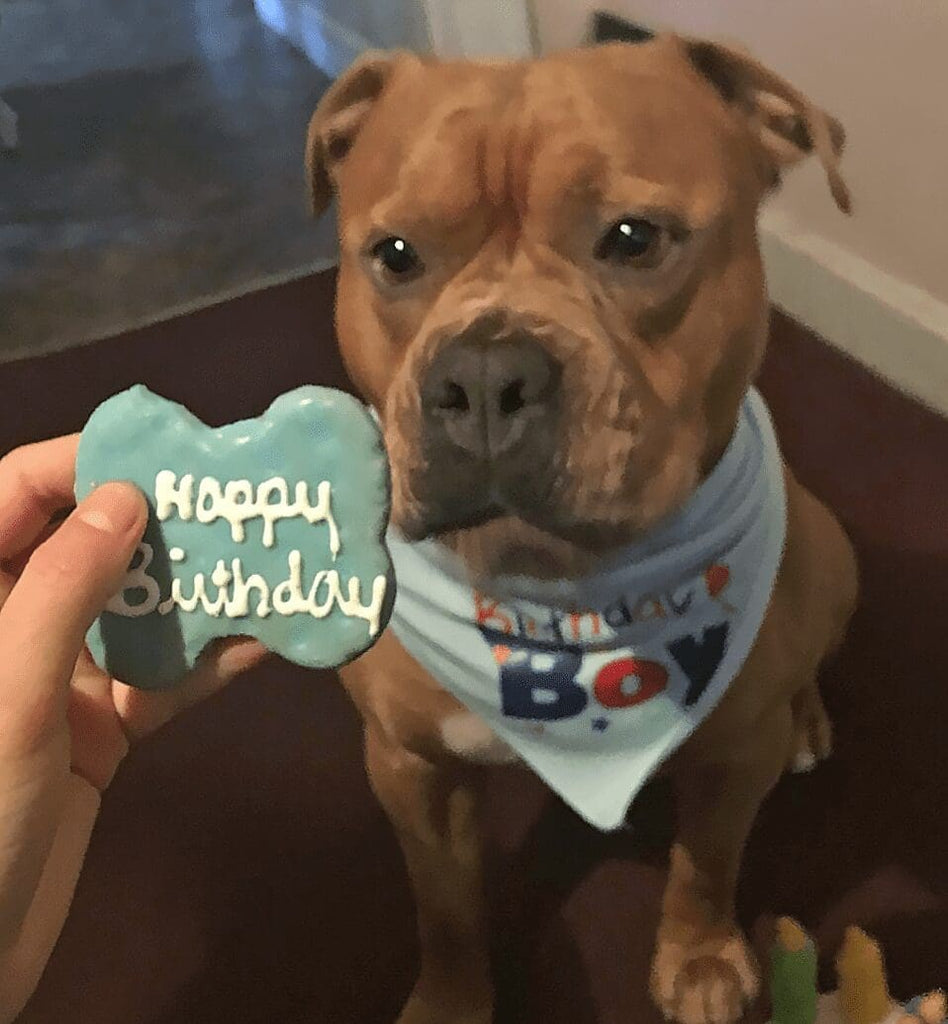 Claudia's Canine Bakery Dog Happy Birthday Bones