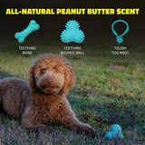 Playology Dog Toy Teething Bounce Ball for Puppies - Peanut Butter