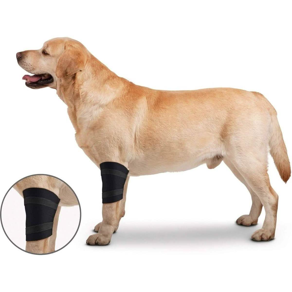 ZenPet Orthowraps Elbow Wrap