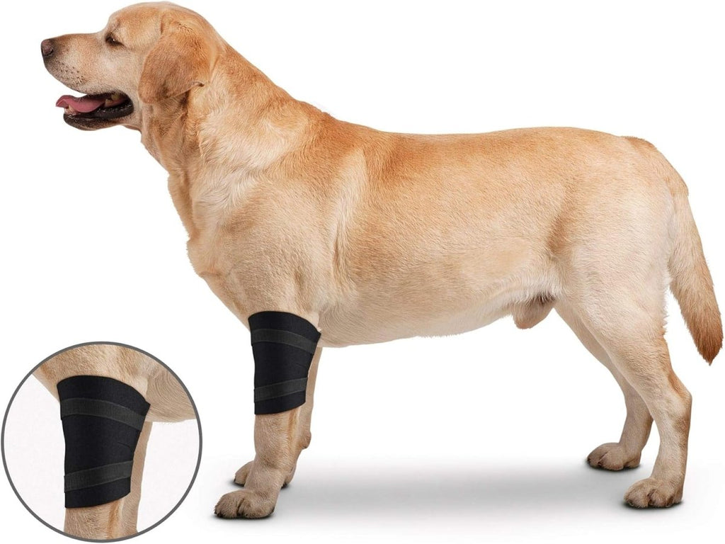 ZenPet Orthowraps Elbow Wrap