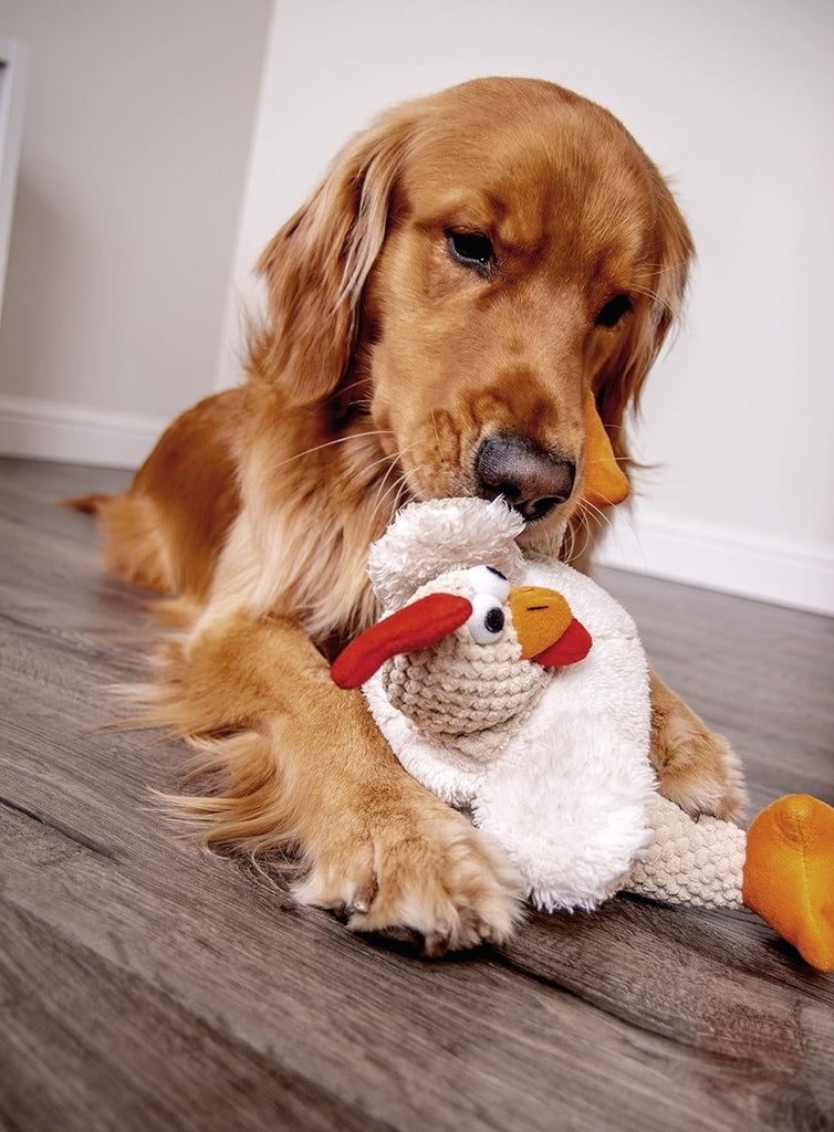 GoDog Dog Toy Checkers Fat White Rooster