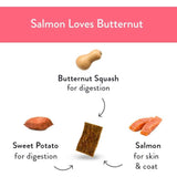 Shameless Pets Dog Treat Jerky Bites Salmon Loves Butternut