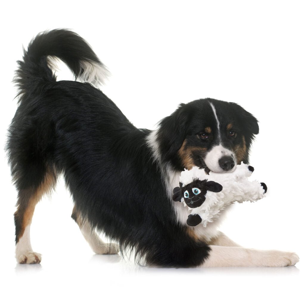 Ethical Pet Dog Toy Spot Baa Baa Black Sheep