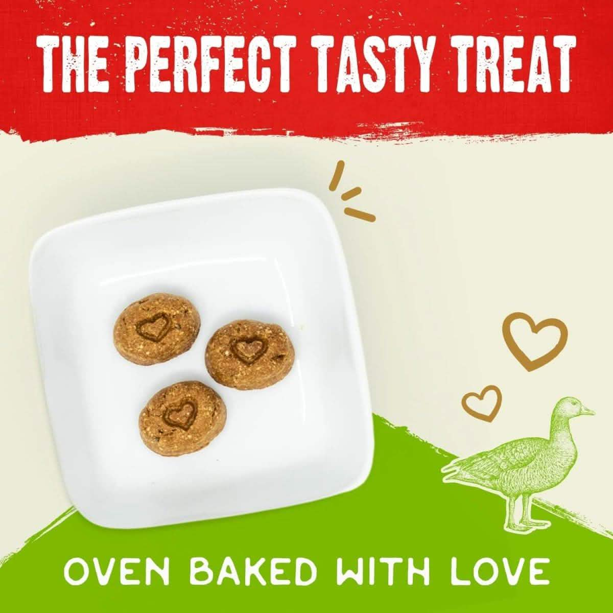 Stella & Chewy's Dog Treat Freeze-Dried Raw Coated Biscuits Cage-Free Duck Recipe