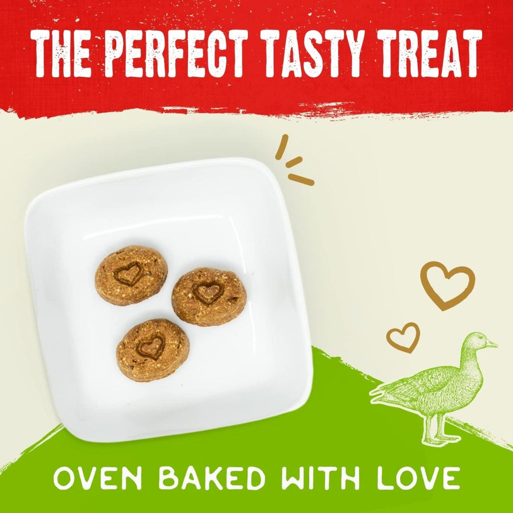 Stella & Chewy's Dog Treat Freeze-Dried Raw Coated Biscuits Cage-Free Duck Recipe