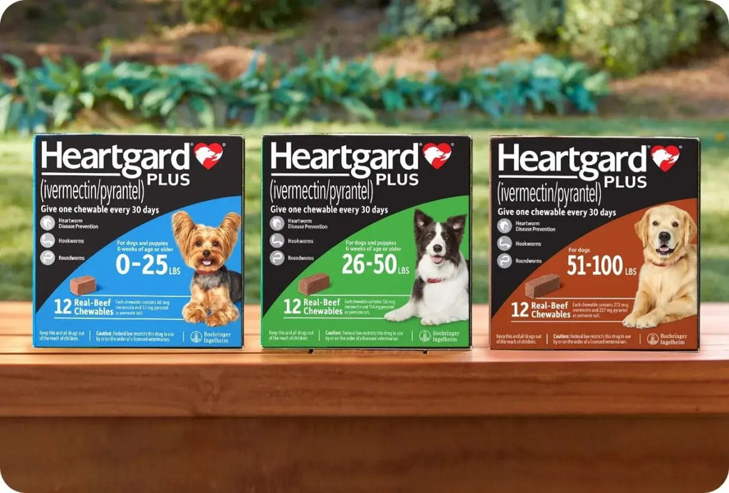 Heartgard Plus Chewables for Dogs (6 Month Supply)