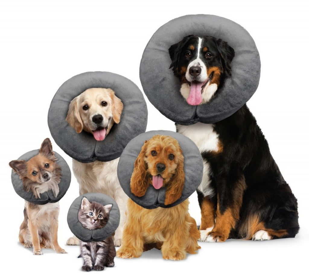 Arlee Pet Products Comfurt Collar Donut E-Collar