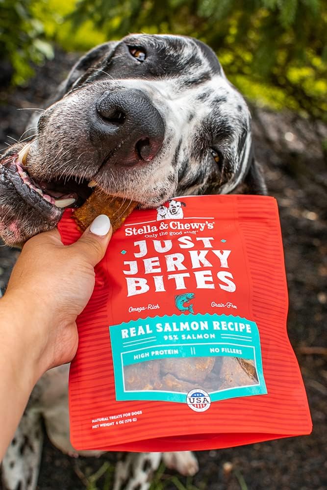 Stella & Chewy's Dog Treat Just Jerky Bites Real Salmon Recipe